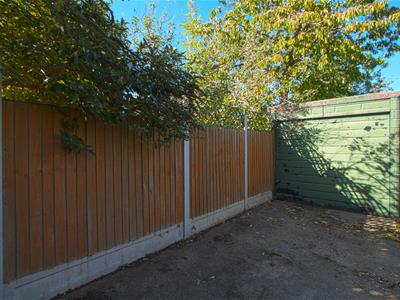 Picture 7